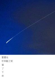 星星在你来临之前落了下来封面