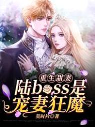 重生甜妻：陆boss是宠妻狂魔封面